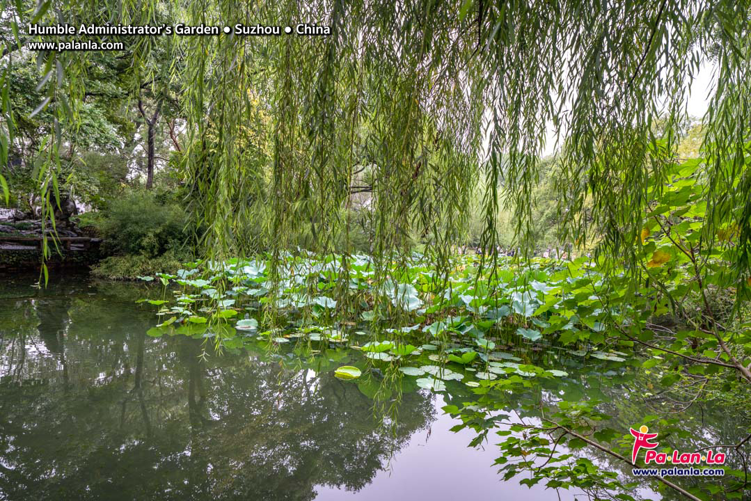 Humble Administrator’s Garden